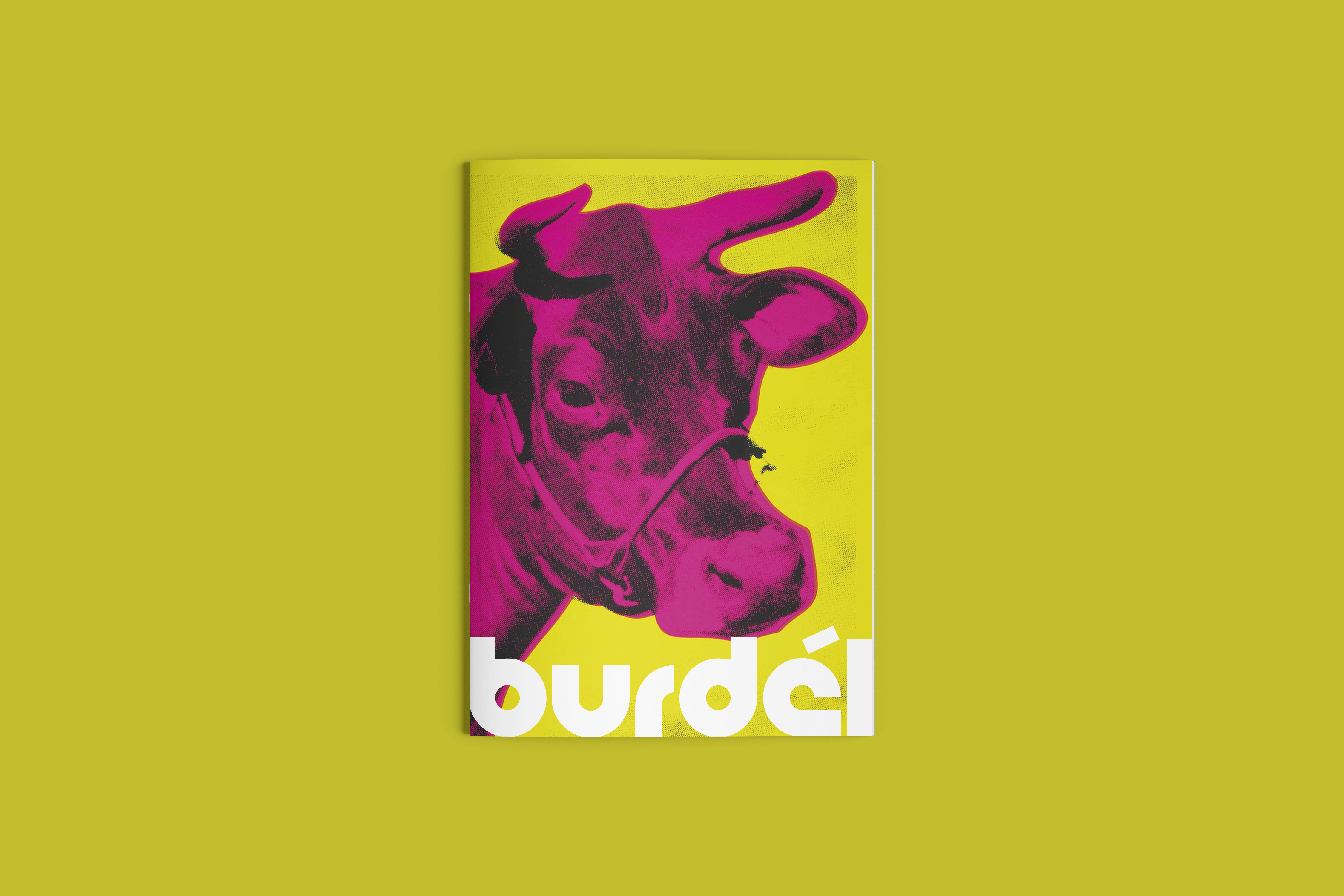 Burdel magazine - Copertina 3